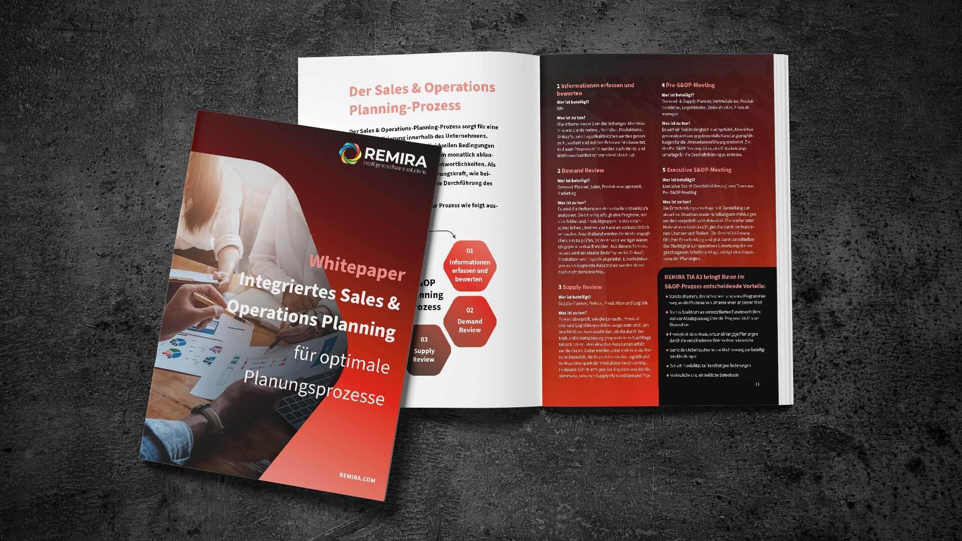 Whitepaper-REMIRA-TIA-S&OP_DE_1920x1080 (1)