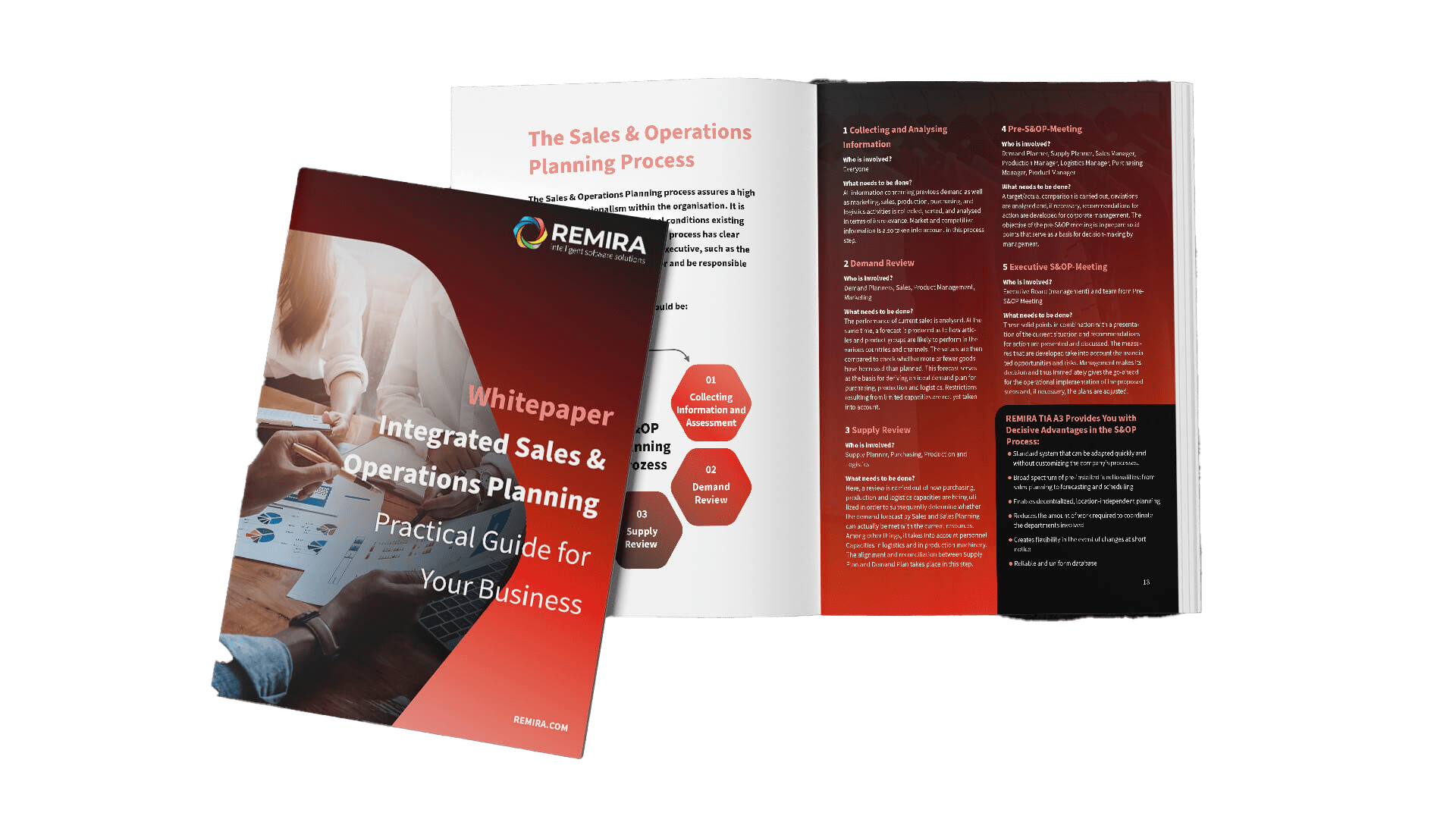 Whitepaper-REMIRA-TIA-S&OP_EN_1920x1080-min